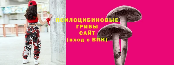 apvp Балахна